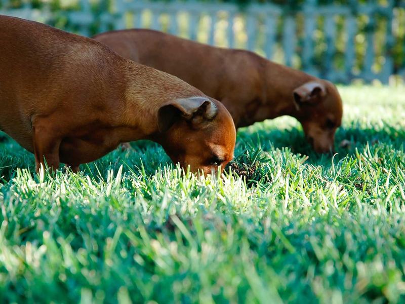 蓬皮杜中心<br>ujcbtdu.cn 高技派五脏六腑